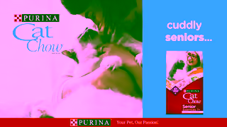 Purina Purina Cat Chow for Cats of All Ages Ad Commercial Brand Imagery Photoshoot 1