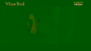 Cineplex Pictures WHITE BIRD In theatres Friday Cineplex Pictures Ad Commercial Brand Imagery Photoshoot 1