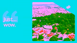 WestJet 5 new sun destinations Ad Commercial Brand Imagery Photoshoot 1