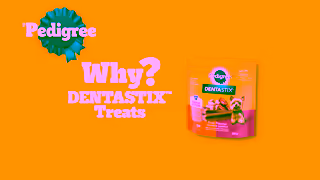 Pedigree Pedigree DENTASTIX Treats Support Oral Health with DENTASTIX Ad Commercial Brand Imagery Photoshoot 0