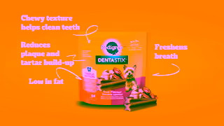 Pedigree Pedigree DENTASTIX Treats Support Oral Health with DENTASTIX Ad Commercial Brand Imagery Photoshoot 1