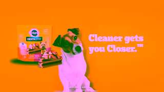 Pedigree Pedigree DENTASTIX Treats Support Oral Health with DENTASTIX Ad Commercial Brand Imagery Photoshoot 2