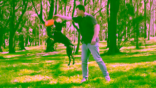 Big Dog Pet Foods Scientifically Formulated Raw Dog Food Australian Raw Dog Food Ad Commercial Brand Imagery Photoshoot 0