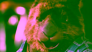 Comparethemarket Man I feel like a Nero Compare the Market Ad Commercial Brand Imagery Photoshoot 0