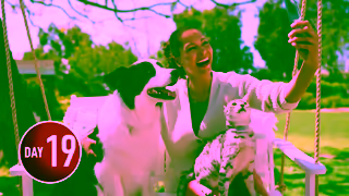 Purina Purina ONE A Difference From Day ONE Ad Commercial Brand Imagery Photoshoot 1