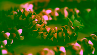 OluKai Sam Hook OluKai Ad Commercial Brand Imagery Photoshoot 2