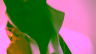 CITIZEN Watch Citizen Tsuyosa collection Fit Check Ad Commercial Brand Imagery Photoshoot 1