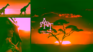 APT Tours APT Everything to a T Ad Commercial Brand Imagery Photoshoot 2