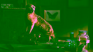 The Real Cost Formaldehyde The toxic link between vaping and taxidermy The Real Cost Ad Commercial Brand Imagery Photoshoot 1