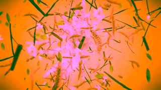 Post Foods Cinnamon Vanilla Flavoured Shreddies Ad Commercial Brand Imagery Photoshoot 0