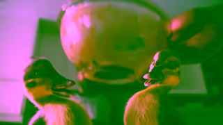 Dawn PGDN6462000H Dawn Powerwash US 06 OLV Ad Commercial Brand Imagery Photoshoot 0