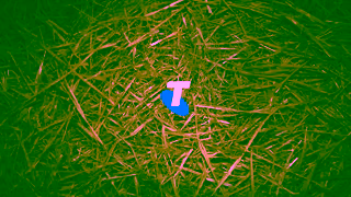 Telstra Black Friday Sale Ad Commercial Brand Imagery Photoshoot 2