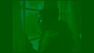 SkipTheDishes Skip x Seth Rogen Starting to feel like winter out there Skip it Ad Commercial Brand Imagery Photoshoot 0