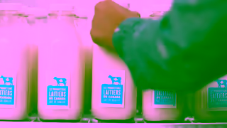 Dairy Farmers of Canada Choisissez les produits laitiers dici Ad Commercial Brand Imagery Photoshoot 1