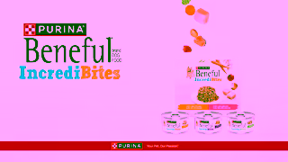 Purina Beneful IncrediBites Ad Commercial Brand Imagery Photoshoot 2