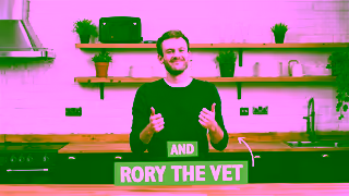 Lily's Kitchen Try our vet approved recipes Ad Commercial Brand Imagery Photoshoot 2