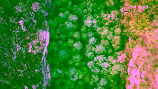 COLORBOND COLORBONDsteel fencing in the colour Wollemi Ad Commercial Brand Imagery Photoshoot 0