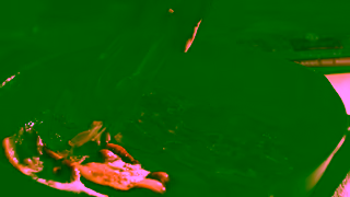 Schneiders Foods Schneiders Bacon Makes Everything Better Ad Commercial Brand Imagery Photoshoot 1