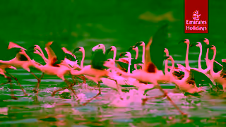 Emirates Make it a holiday to remember Emirates Holidays Ad Commercial Brand Imagery Photoshoot 0