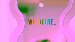 WILDFIRE Shoes Sprinkle Sip for Mardi Gras Wildfire Shoes Ad Commercial Brand Imagery Photoshoot 2