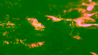 Simply Beverages Simply Lemonade Excite 15s enCA Ad Commercial Brand Imagery Photoshoot 1