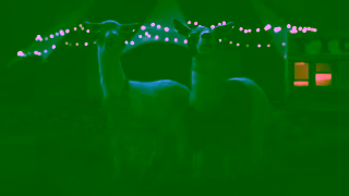 Telstra Telstra Burnie is better on a better mobile network Ad Commercial Brand Imagery Photoshoot 1