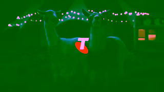 Telstra Telstra Burnie is better on a better mobile network Ad Commercial Brand Imagery Photoshoot 2