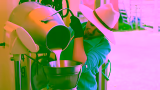 TikTok TikTok Sparks Good Camel queen yasminbrisbane shakes up Aussie farming 30s Ad Commercial Brand Imagery Photoshoot 0