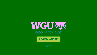 Western Governors University WGU Online Degrees Ad Commercial Brand Imagery Photoshoot 2