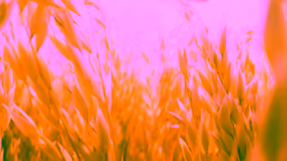 MadeGood Foods Highly Thoughtful Snacks MadeGood Ad Commercial Brand Imagery Photoshoot 0