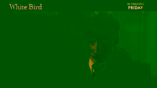 Cineplex Pictures WHITE BIRD In theatres Friday Cineplex Pictures Ad Commercial Brand Imagery Photoshoot 2