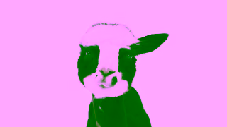 TELUS Faites en plus avec le nouveau Samsung Galaxy S25 Ultra avec TELUS Ad Commercial Brand Imagery Photoshoot 2