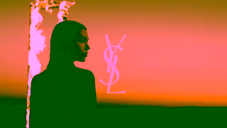 Yves Saint Laurent LIBRE FLOWERS FLAMES l Hero Video Duo l YSL BEAUTY l 10s Ad Commercial Brand Imagery Photoshoot 0