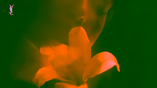 Yves Saint Laurent LIBRE FLOWERS FLAMES l Hero Video Duo l YSL BEAUTY l 10s Ad Commercial Brand Imagery Photoshoot 1