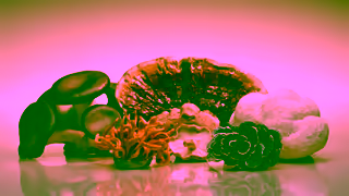 RYZE Superfoods Pour Yourself a Better Cup of Coffee Ad Commercial Brand Imagery Photoshoot 2