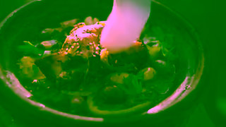 LIBERTE Yogourt Libert Plain Collection Taste Takes Many Forms Ad Commercial Brand Imagery Photoshoot 2