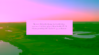 Explore Charleston Golfing on Kiawah Island Ad Commercial Brand Imagery Photoshoot 1