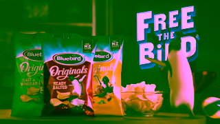 Bluebird Bluebird Free The Bird Pool Mix 2023 6 Ad Commercial Brand Imagery Photoshoot 2