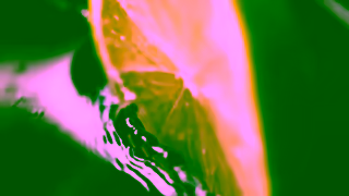 M.Micallef DesirToxic LIntense Jewel Collection MMICALLEF Ad Commercial Brand Imagery Photoshoot 1