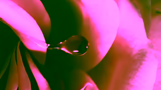 Lancome Discover La Vie Est Belle Ad Commercial Brand Imagery Photoshoot 0