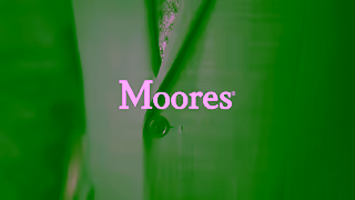 Moores Clothing When you look this good you can do anything Ad Commercial Brand Imagery Photoshoot 0