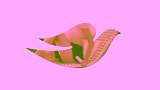 Dove Try Dove Whole Body Deo Ad Commercial Brand Imagery Photoshoot 2