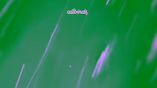 Allbirds.com PM 25Q4 Waterproof v11 1920x1080 Ad Commercial Brand Imagery Photoshoot 2