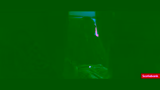 Scotiabank Scotiabank Youre Richer Than You Think Ad Commercial Brand Imagery Photoshoot 1