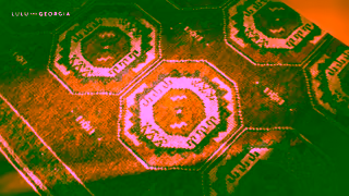 LULU and GEORGIA Lulu and GeorgiaBring Beauty Home Ad Commercial Brand Imagery Photoshoot 0