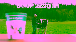 Olympic Dairy Olympic Organic yogurt from Happy grassfed cows Ad Commercial Brand Imagery Photoshoot 1