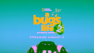 National Geographic A Real Bugs Life Streaming Jan 15 V2 National Geographic Ad Commercial Brand Imagery Photoshoot 2