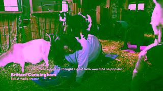 Intuit Business Differently with QuickBooks Haute Goat Farm Ad Commercial Brand Imagery Photoshoot 0