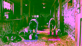 Intuit Business Differently with QuickBooks Haute Goat Farm Ad Commercial Brand Imagery Photoshoot 1