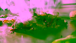 Jersey Mike's Subs Dannys New Look 15s Ad Commercial Brand Imagery Photoshoot 2